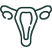 icono de un útero