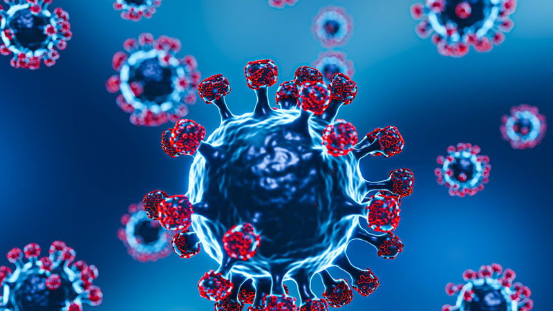 Coronavirus y fertilidad