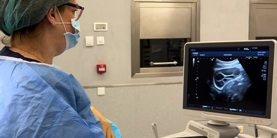Dra. Grether Pérez realizando una punción ovárica