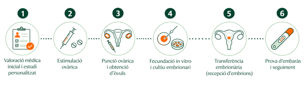 Infografia del Mètode ROPA