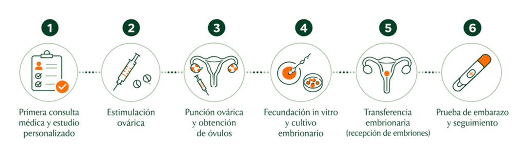 Infografía sobre el método ROPA