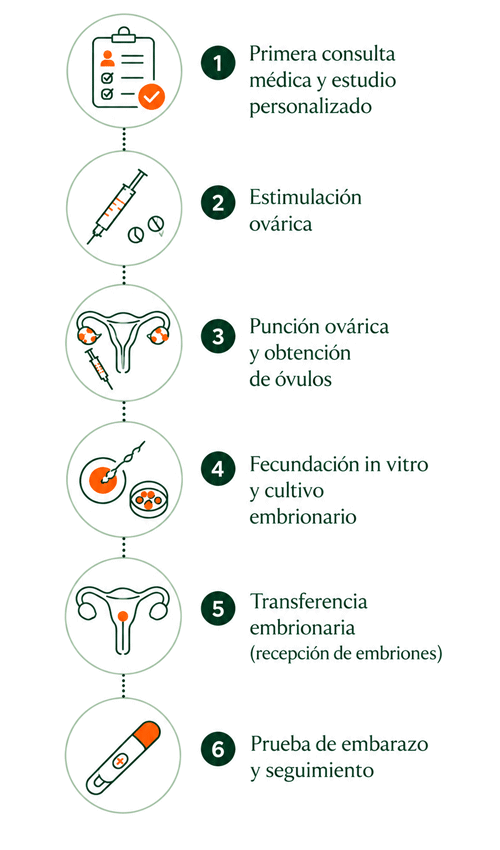 Infografía sobre el método ROPA