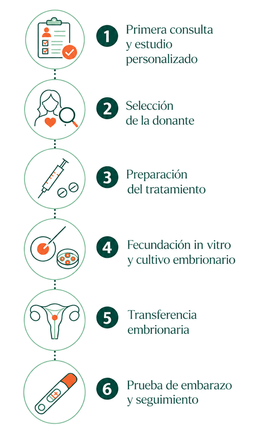 Infografía sobre la ovodonación