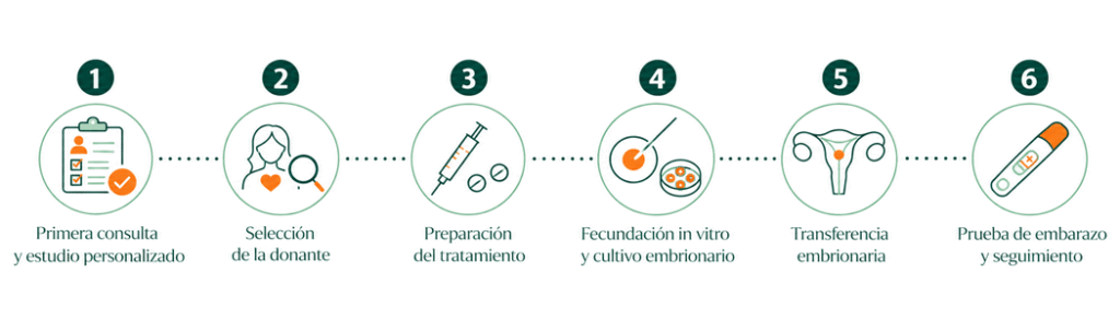 Infografía sobre la ovodonación