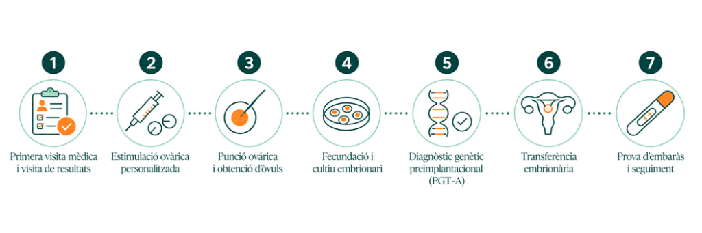 Infografia sobre la fiv genètica