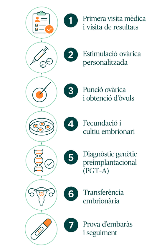 Infografia sobre la fiv genètica