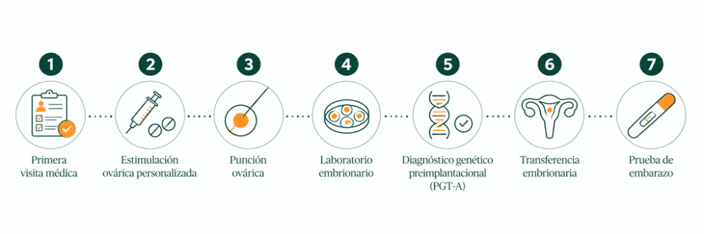 Infografía sobre la fiv genética