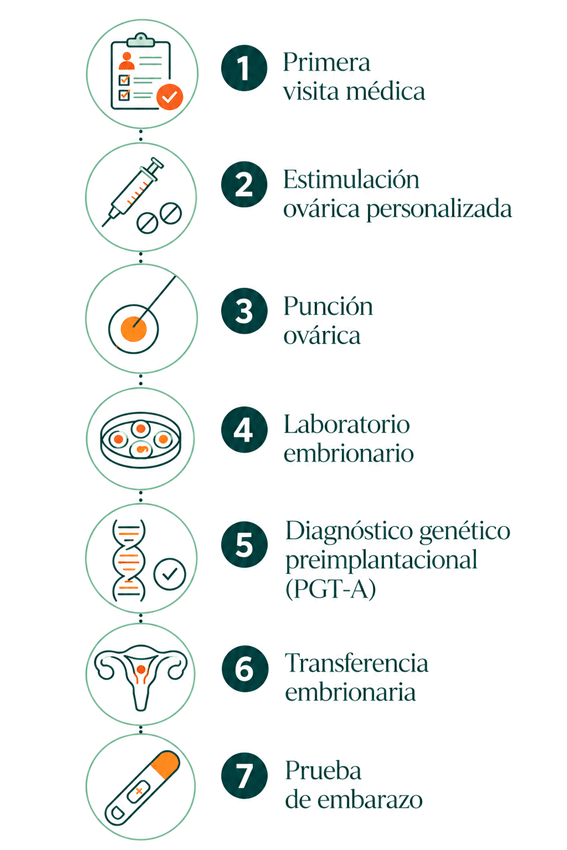 Infografía sobre la fiv genética