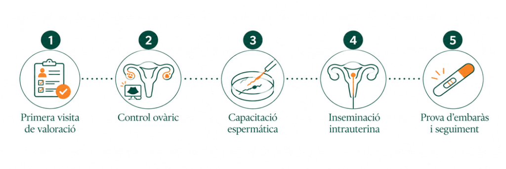 Infografia sobre la inseminació artificial