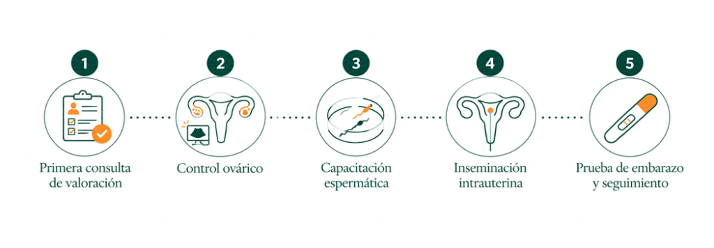 Infografía de la inseminación artificial