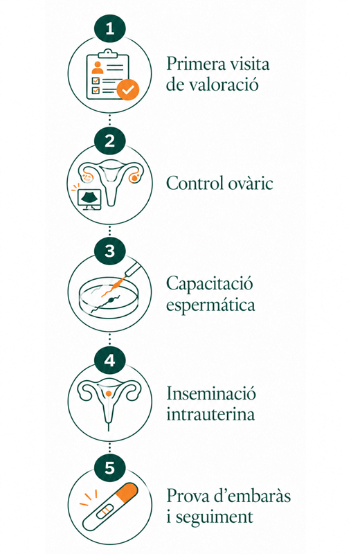 Infografia sobre la inseminació artificial