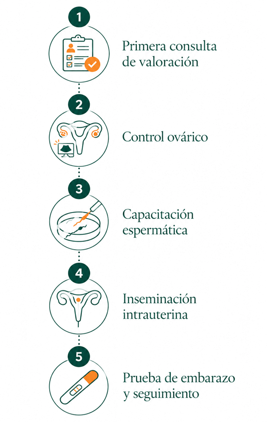 Infografía de la inseminación artificial