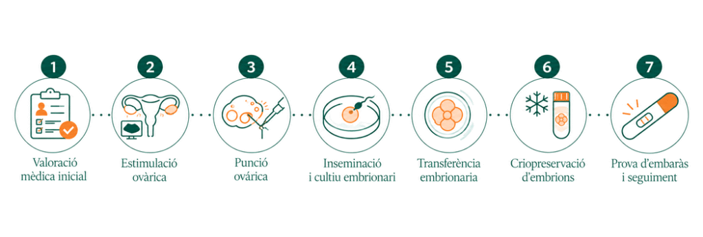 Infografia de la Mini FIV