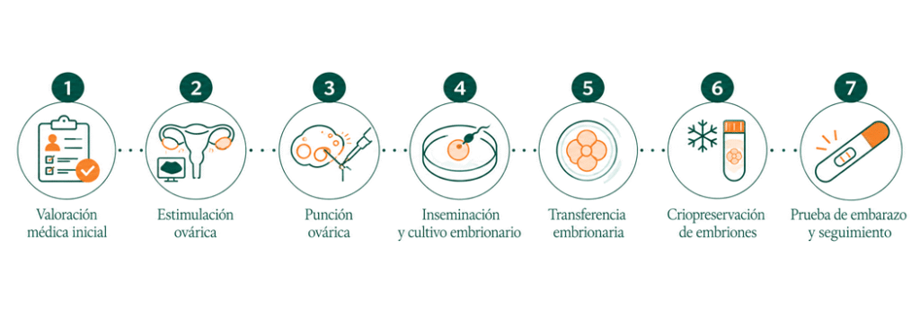 Infografía sobre la Mini FIV