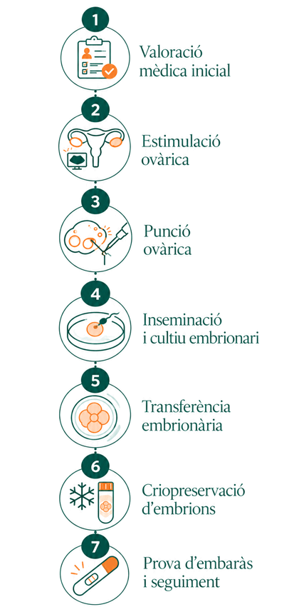 Infografia de la Mini FIV