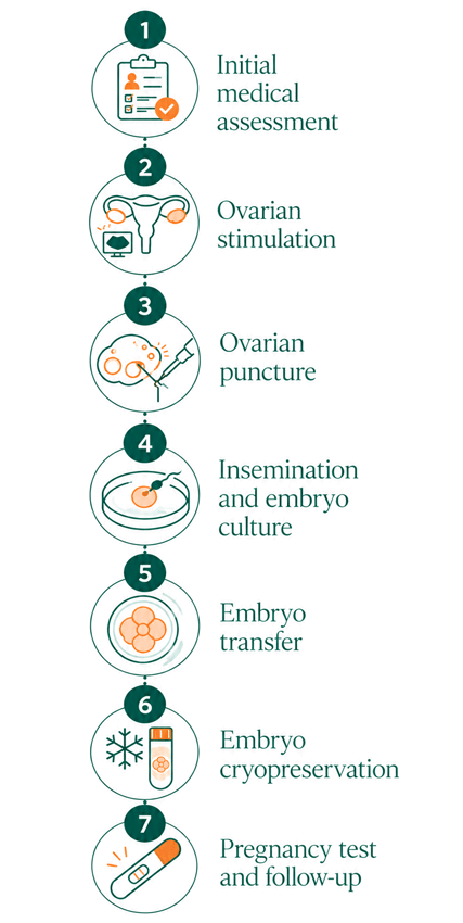 Mini IVF Infographic