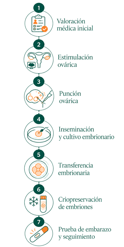 Infografía sobre la Mini FIV