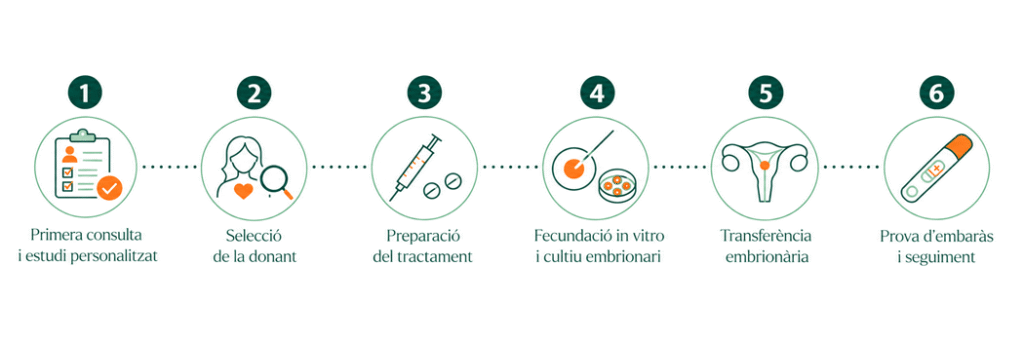 Infografia sobre l'ovodonació