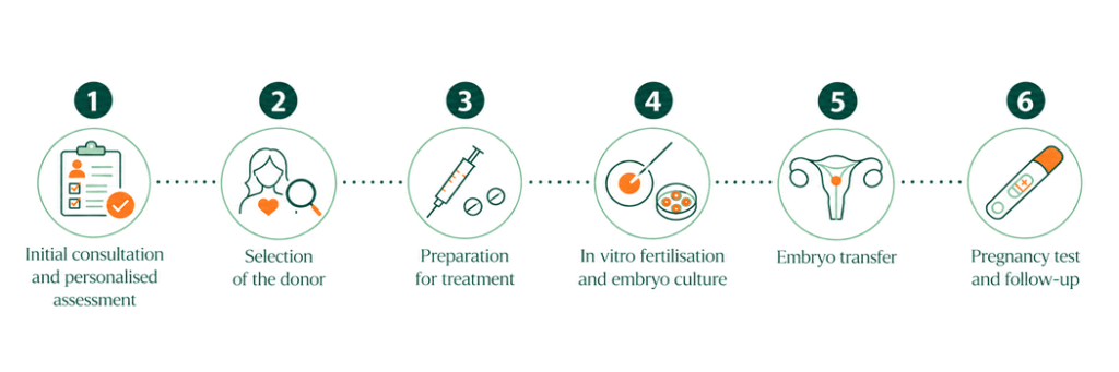 Infographic on egg donation