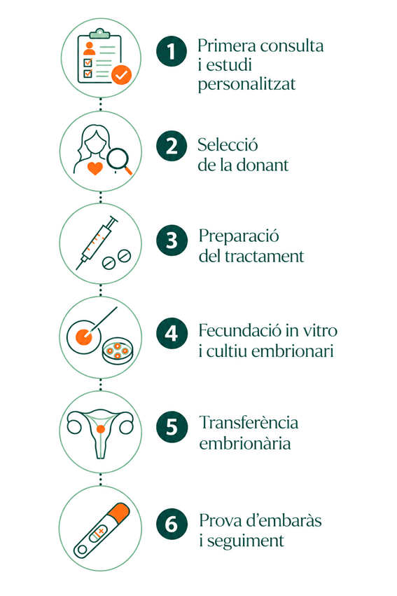 Infografia sobre l'ovodonació