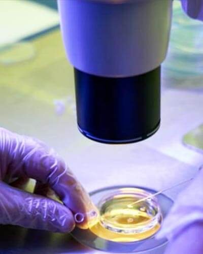 analisis-de-laboratorio (1)